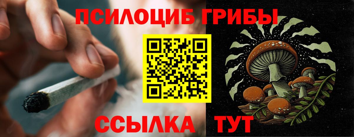 Псилоцибиновые грибы Magic Shrooms Каменка