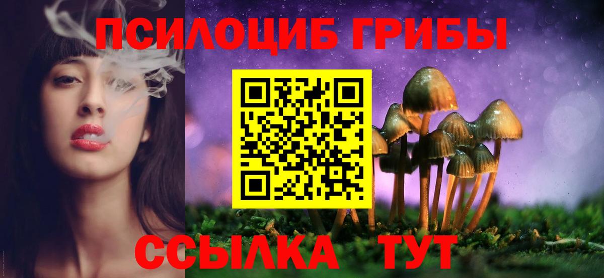 Псилоцибиновые грибы Psilocybine cubensis  Псилоцибиновые грибы мицелий  Каменка  Вход с VPN 