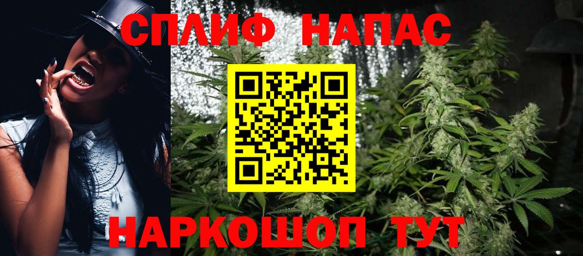 Канабис MAZAR Каменка